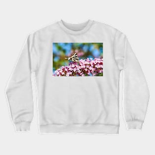 Jersey Tiger Moth feeding Crewneck Sweatshirt